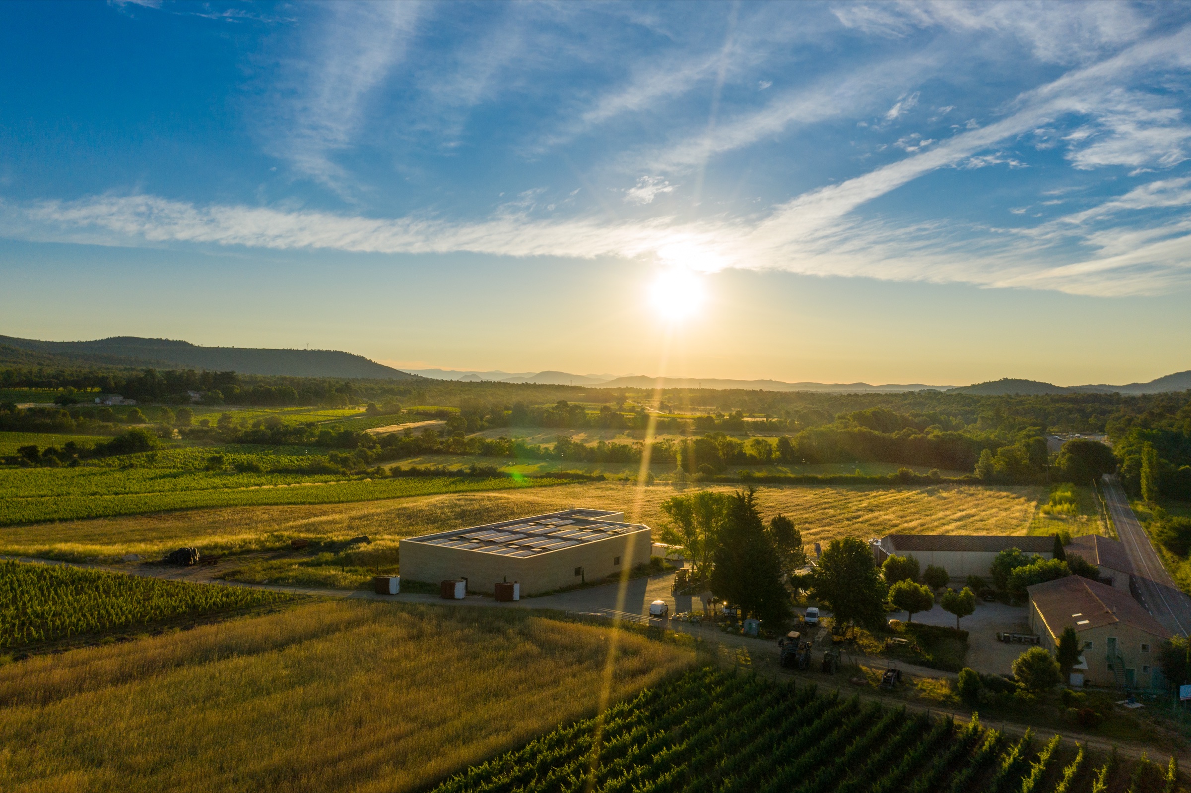 Vignes de Triennes, Nans-les-Pins