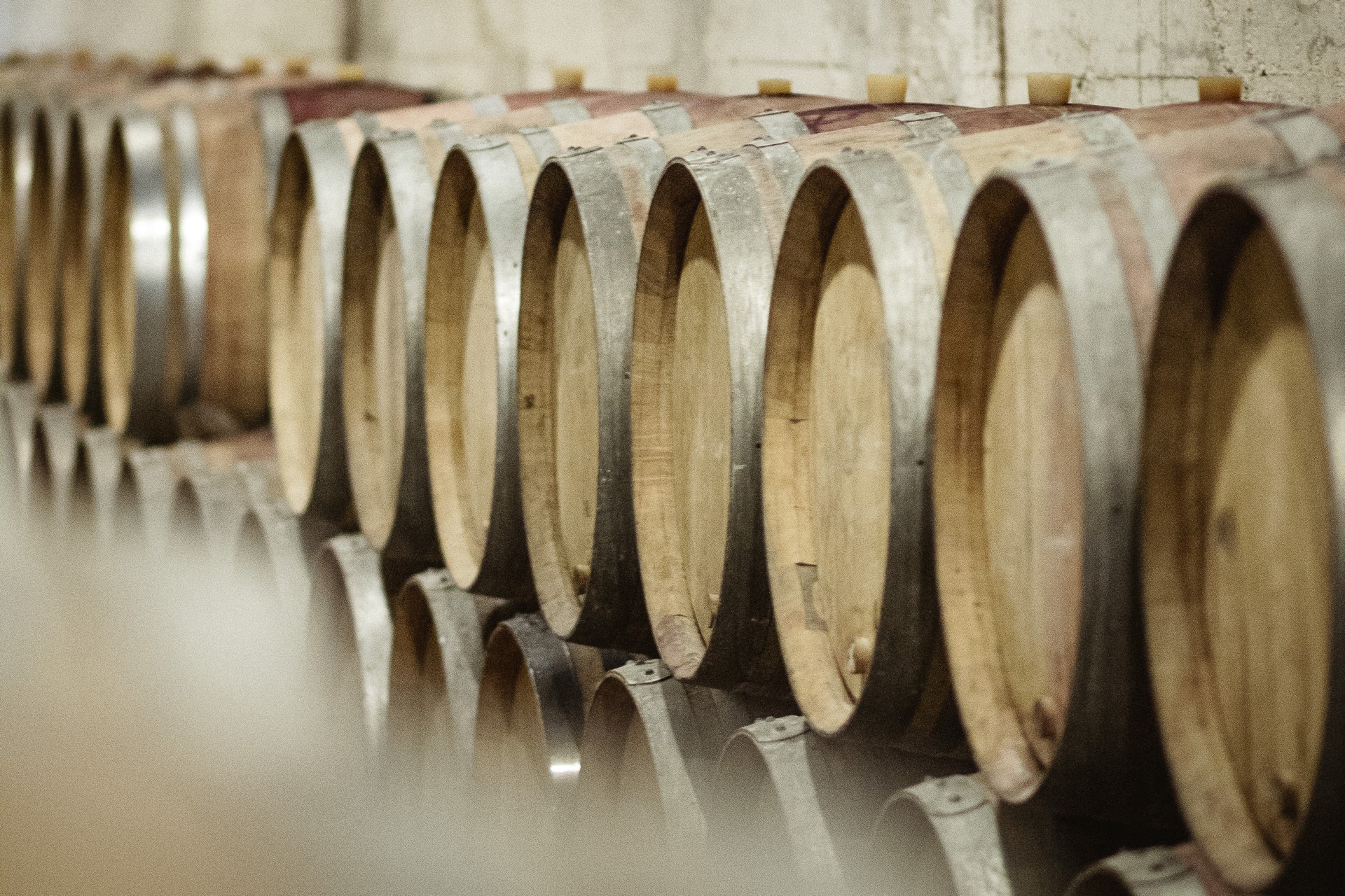 La vinification